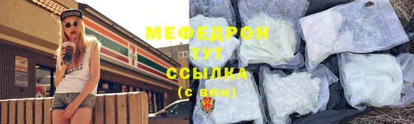 сатива Новозыбков