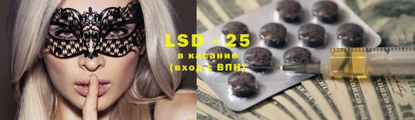 сатива Новозыбков