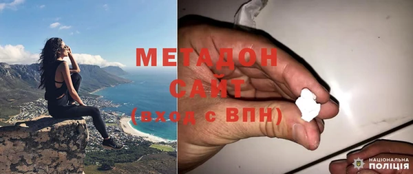 сатива Новозыбков