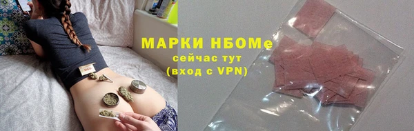 сатива Новозыбков