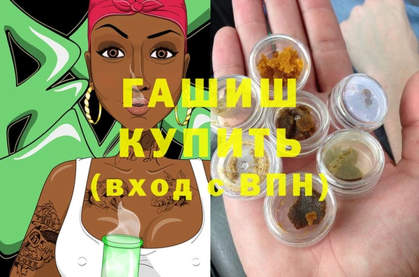 сатива Новозыбков