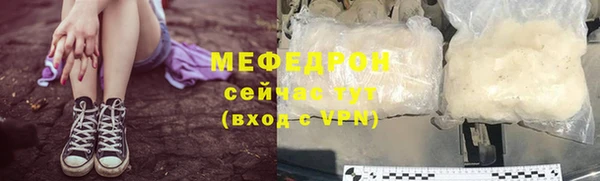 сатива Новозыбков
