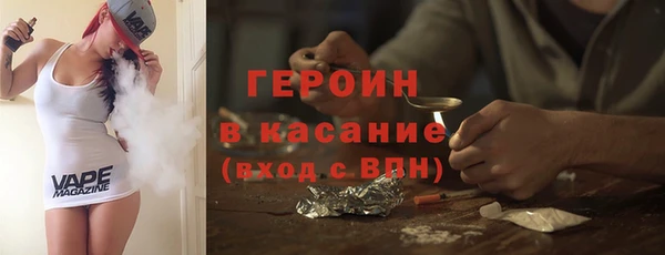 сатива Новозыбков