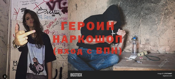 сатива Новозыбков
