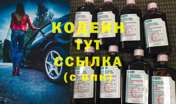 сатива Новозыбков