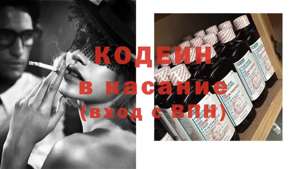 сатива Новозыбков