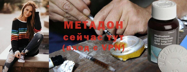 сатива Новозыбков