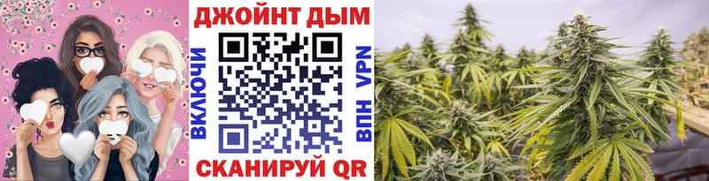где можно купить   Шумерля  Конопля Ganja 
